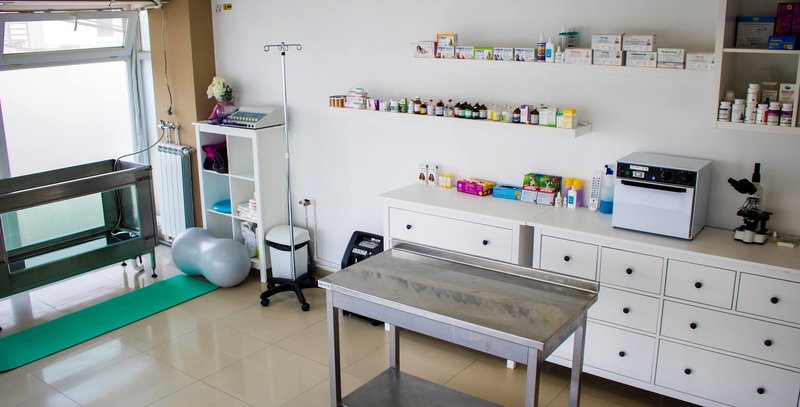 Yoyo Physio Vet - Cabinet veterinar